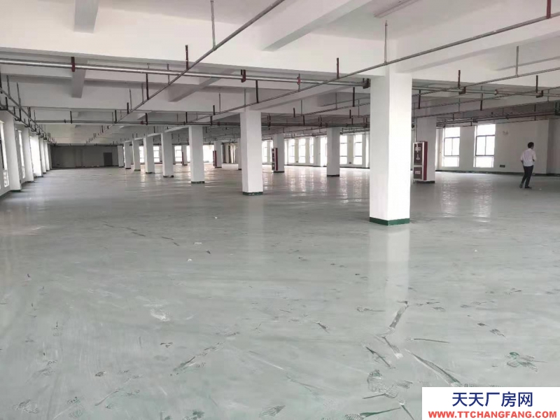 (出租)宿州埇橋 一樓、一樓1250方場地對外出租