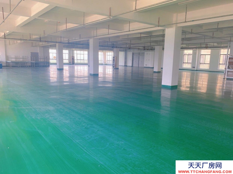 (出租) 宿州埇橋急租1250平廠房倉庫，全新可分割可整租