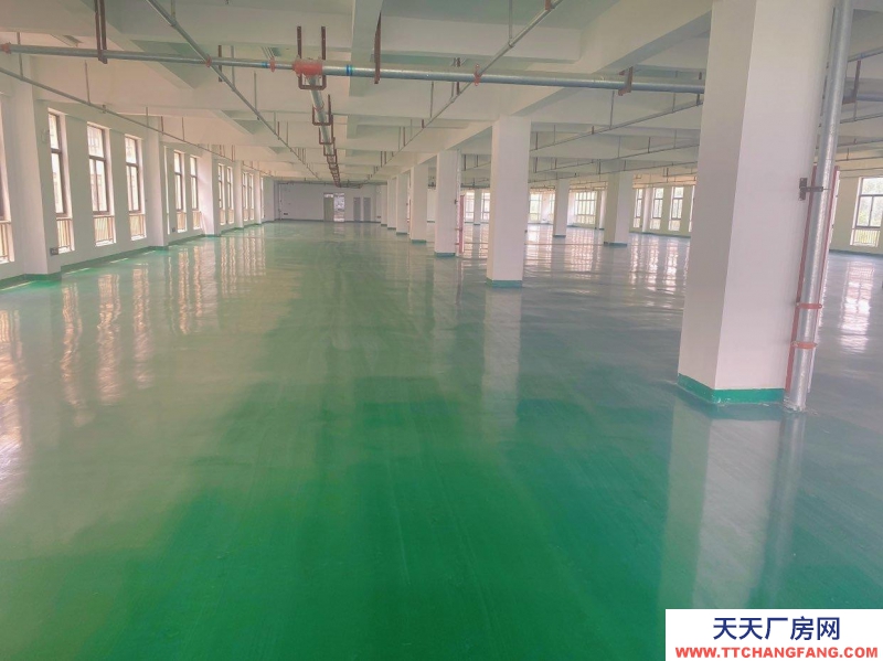 (出租) 宿州埇橋急租1250平廠房倉庫,全新可分割可整租