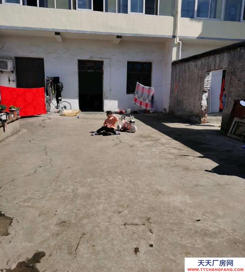 (出租)宿州靈璧 兩套院子加土地加一個倉庫