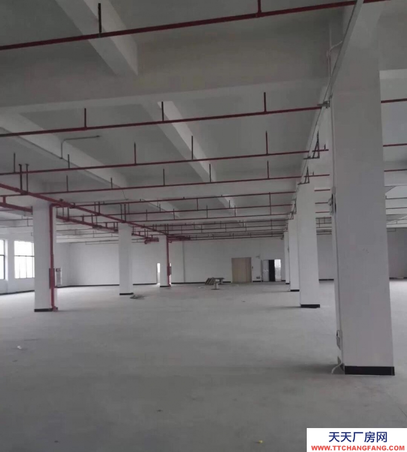 (出租)馬鞍山花山 秀山信達城倉庫面積1000平，可分割，大貨車上下貨方便