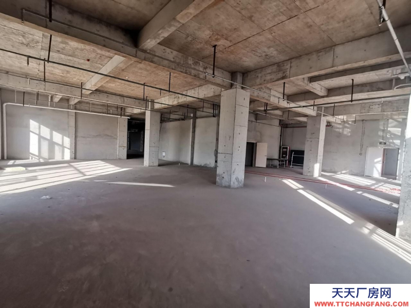 (出租)馬鞍山花山 非中介，秀山軟件園，425平辦公+倉儲，一體化辦公