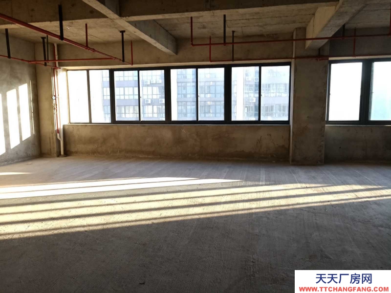 (出租)馬鞍山花山 非中介，秀山軟件園，425平辦公+倉儲，一體化辦公