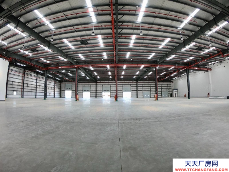 (出租) 馬鞍山當涂產業園丙二類高標倉出租