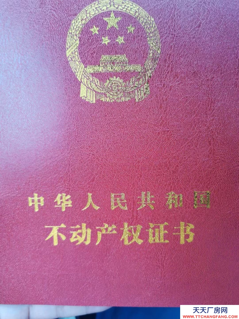 園區全新獨棟獨戶廠房 可安裝行車 證件齊全