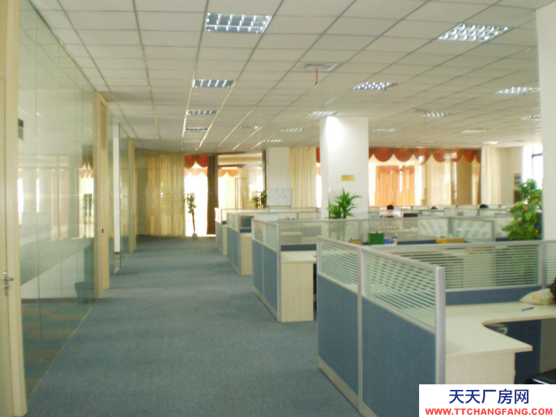 南翔精裝修倉(cāng)儲(chǔ)/辦公室出租拎包直接入駐隨時(shí)等候您的加入