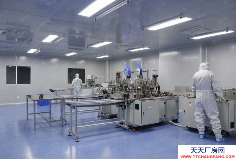 廊坊 安次  2層獨棟 產業載體 生產研發空間 首層8.1米