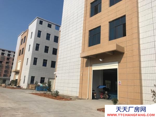 衡陽市衡南縣 出租云集工業園全新廠房