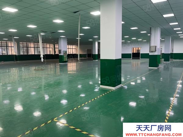 無錫濱湖新區梅村核心地段2200方小獨棟廠房出售