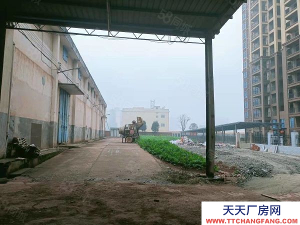 衡陽市衡南縣 西渡中型廠房,可租可售,價格美麗,方便實用,位置好,配套齊全