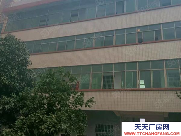 衡陽市衡南縣 西渡中型廠房,可租可售,價格美麗,方便實用,位置好,配套齊全