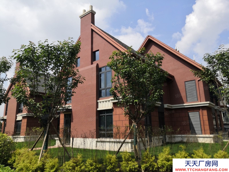 (出租) 成都錦江 獨幢別墅創(chuàng)意樓出租