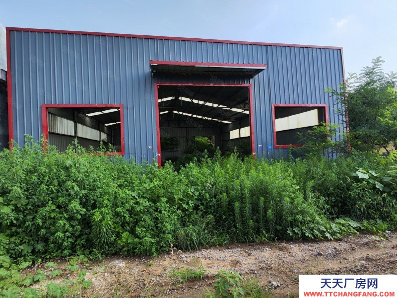 濰坊昌樂營丘鎮吉阿村廠房土地出租