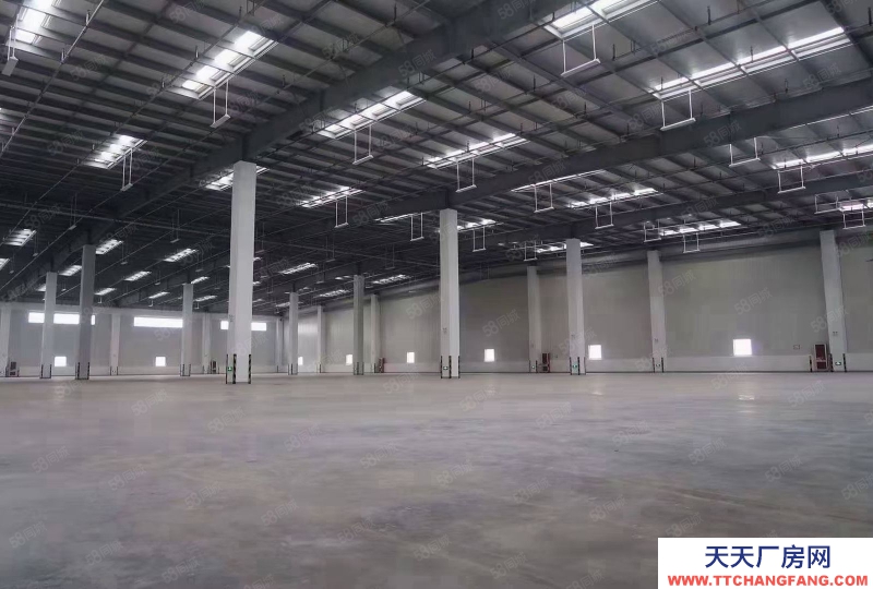 寧波北侖(出租) 梅山倉庫40畝雙邊月臺倉庫出租，外場地大，可以落集裝箱