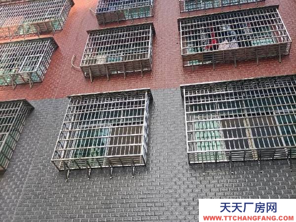 衡陽市常寧市 可辦公，可做加工業，倉庫，等