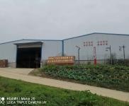 (出租) 黃岡麻城廠房出租，位于乘馬崗江樹村，交通便利