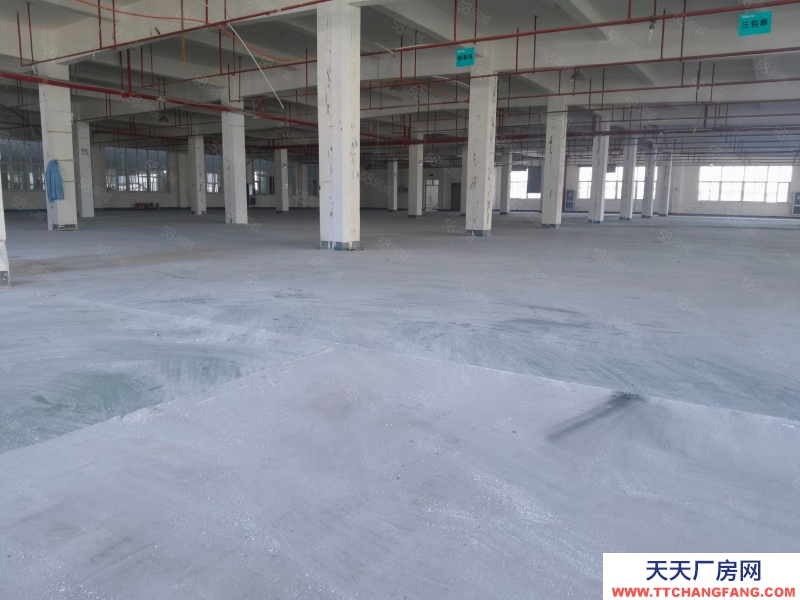 寧波鎮海(出租) 九龍湖獨棟共三層廠房5800方