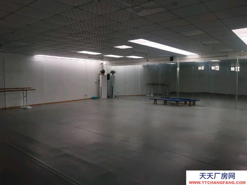 (出租)西安雁塔 獨門獨院，環境優美安靜，院子位置沿街交通便利。