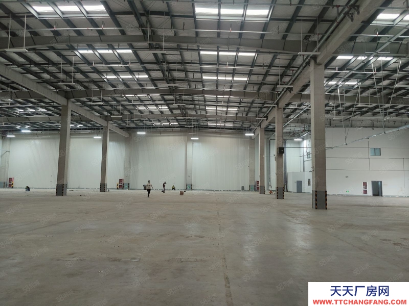 寧波鎮海(出租) 國企倉庫速搶！房東直租兩萬平高標庫可分割，掛車好進場地非常大