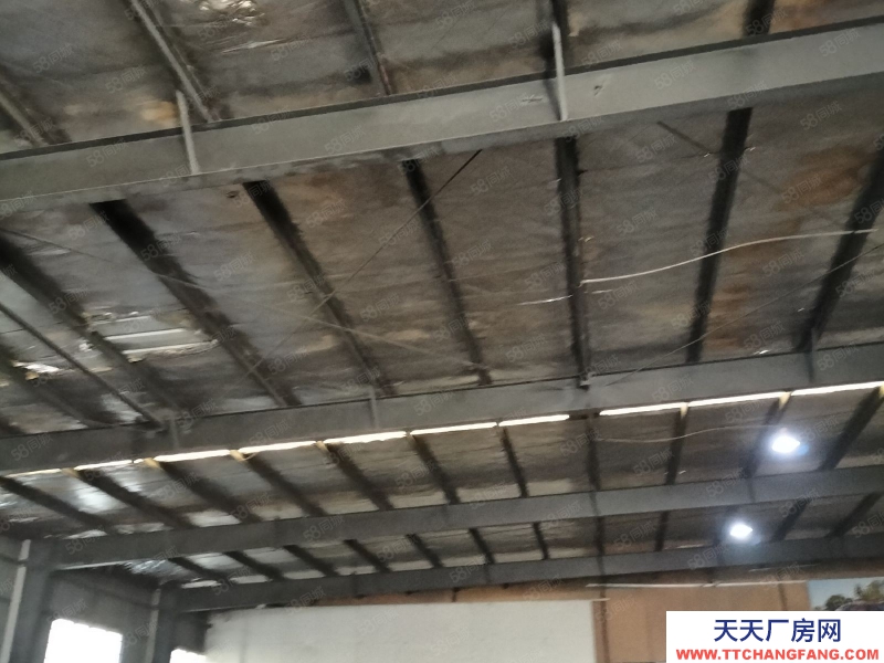 寧波鎮海(出租) 出租全一樓廠房高7米800平方只做倉庫,馬上可用,價格面議