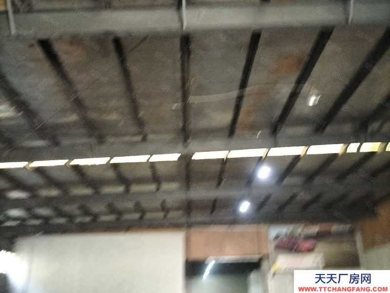 寧波鎮海(出租) 出租全一樓廠房高7米800平方只做倉庫,馬上可用,價格面議