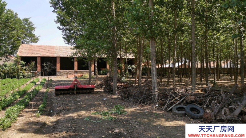 濰坊諸城出售國(guó)有土地13畝大院有倉(cāng)庫(kù)15間房屋3間