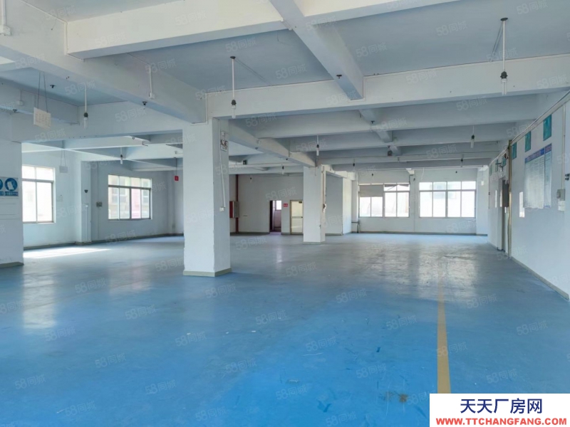 (出租) 中山市石岐區新出標準廠房三樓530平米出租帶現成地坪漆裝修