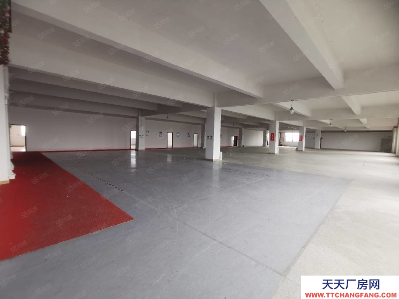 (出租) 中山石歧新出全新精裝修標準廠房1300平大小面積可分租5噸電梯