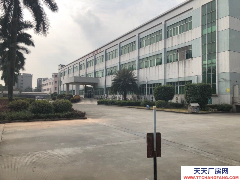 (出租) 中山石岐區(qū)北站新出原房東28000平大小可分紅本工業(yè)園廠房出租