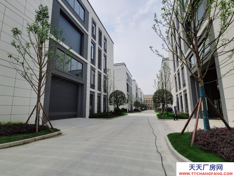 租售青白江全新獨棟廠房 50年產權 現房隨時入駐