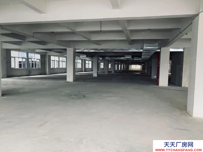 (出租) 中山石岐區(qū)新出獨門獨院標準13000方廠房招租,帶豪華辦公室