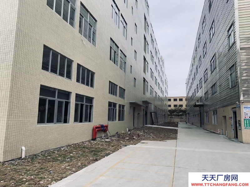 (出租) 中山石岐區(qū)新出獨門獨院標準13000方廠房招租,帶豪華辦公室