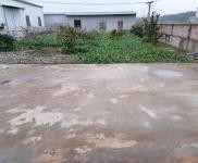 (出租) 黃岡武穴單門獨院，占地面積4畝，內空地有果樹萊園，生活設施齊全。