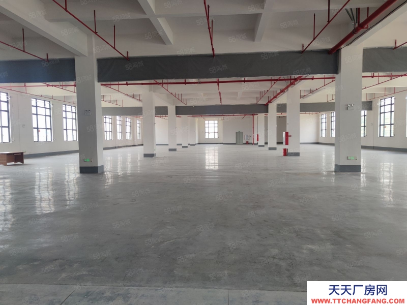 (出租) 中山坦洲6百米到珠海14元一方 5米層高全新精裝 5臺電梯 高端園區(qū)