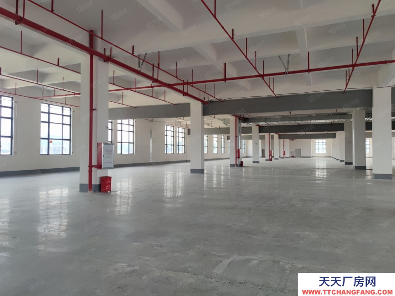 (出租) 中山坦洲6百米到珠海14元一方 5米層高全新精裝 5臺電梯 高端園區(qū)