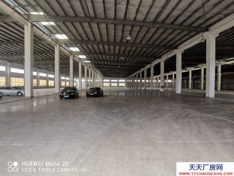 (出租)中山坦洲鎮(zhèn)磚墻到頂單一層（1600）獨門獨院可分租滴水9米