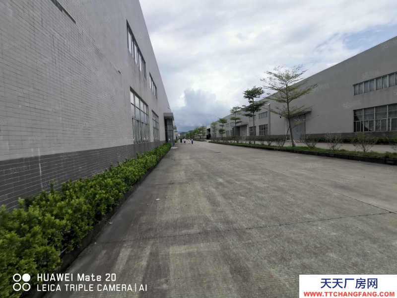 (出租)中山坦洲鎮磚墻到頂單一層(1600)獨門獨院可分租滴水9米