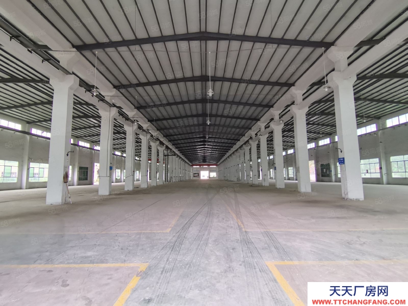 (出租) 中山坦洲工業(yè)區(qū)單一層星棚2860平出租可分租400平起分