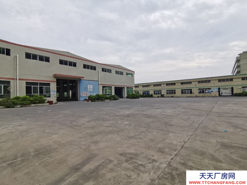 (出租) 中山坦洲工業(yè)區(qū)單一層星棚2860平出租可分租400平起分