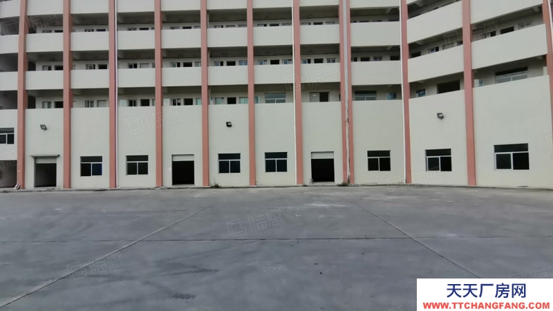 (出租) 中山坦洲工業(yè)區(qū)單一層星棚2860平出租可分租400平起分