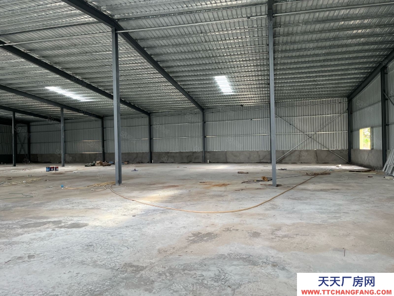(出租) 中山坦洲鎮(zhèn)第三工業(yè)區(qū)單一層廠房