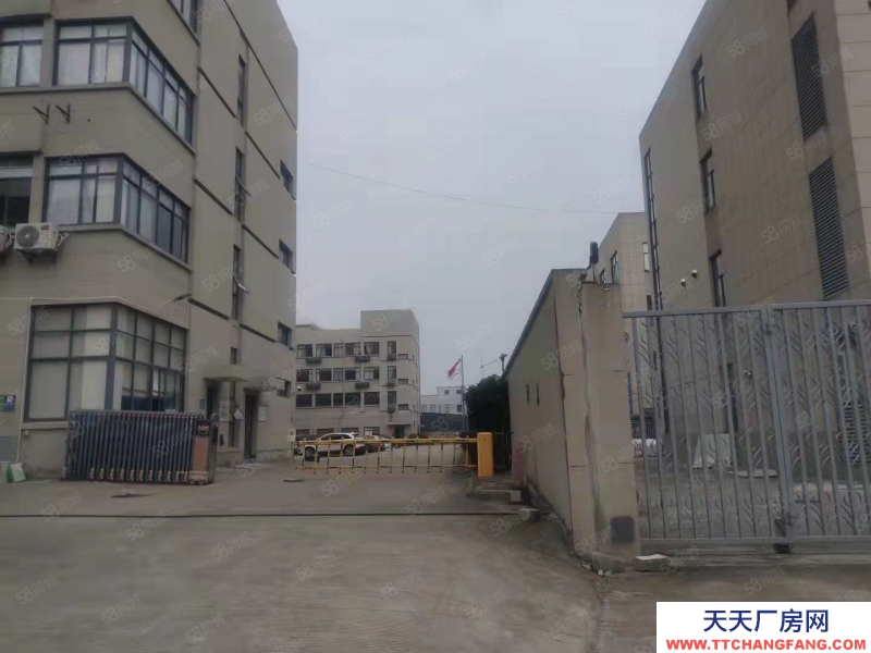 寧波鎮海(出售) 駱駝15畝 廠房5000平 重工高12米 售價6300萬