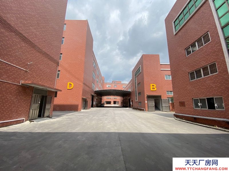 (出租) 中山火炬開發區獨院獨棟廠房出租