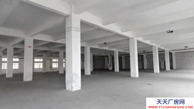 (出租) 中山火炬開發區獨院獨棟廠房出租