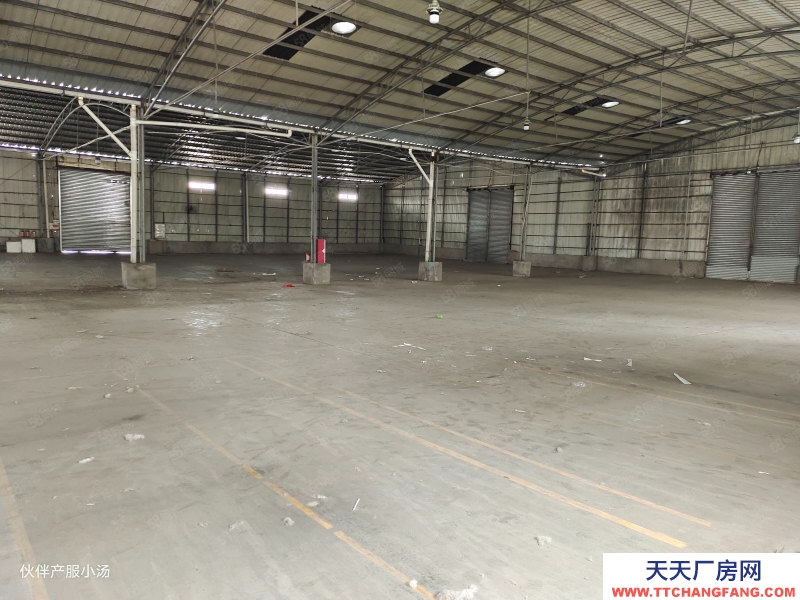 (出租) 中山東區超大空地!沙崗墟新出原房東獨門獨院滴水8米單一層廠房出租