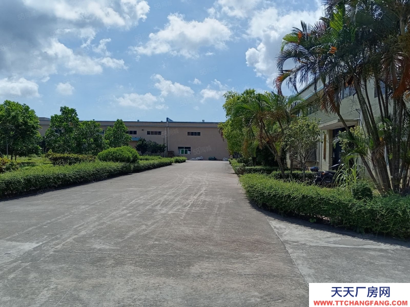 (出租) 中山東區張家邊12米高單一層,現成行吊,紅本重工業廠房,配套齊全