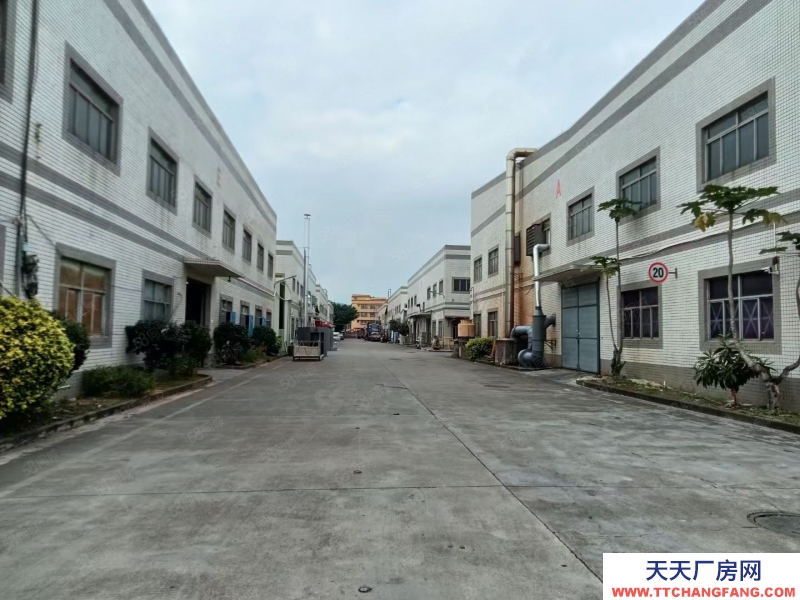 (出租) 中山西區街道新出單一層帶紅本廠房5120平米招租可分現成裝修