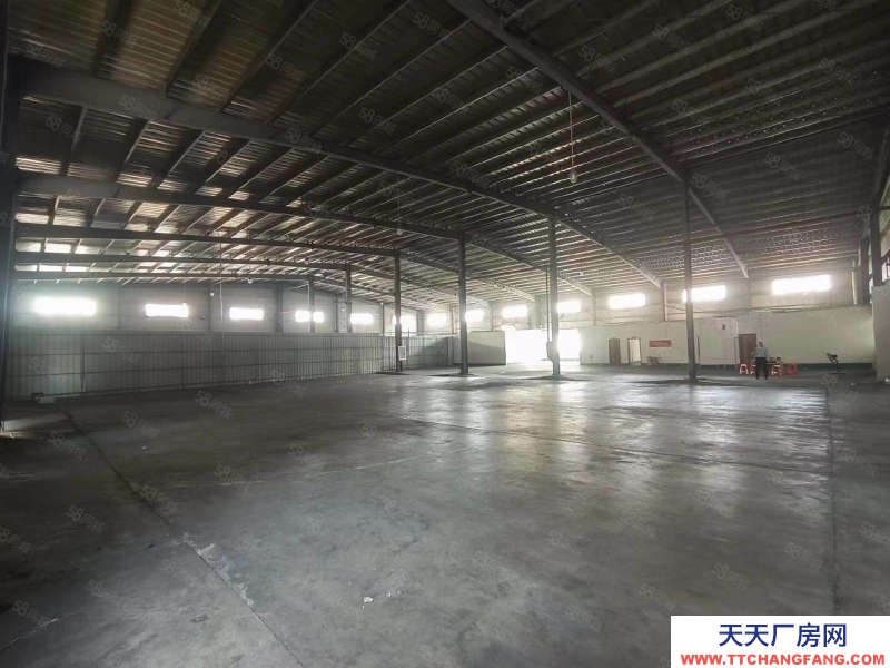 (出租) 中山西區新出鋼構單一層廠房，滴水8米可500起租，空地大