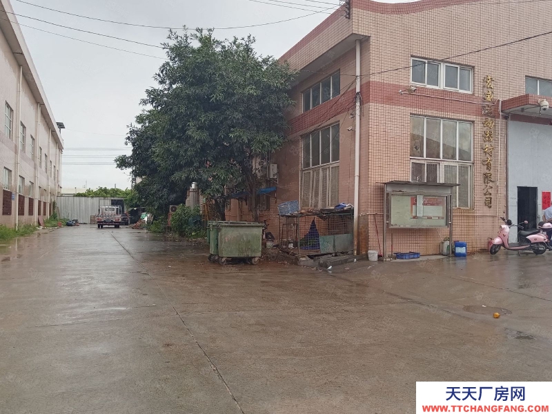 (出租) 中山西區新出單一層路邊廠房800平空地大可進大車價格鉅惠