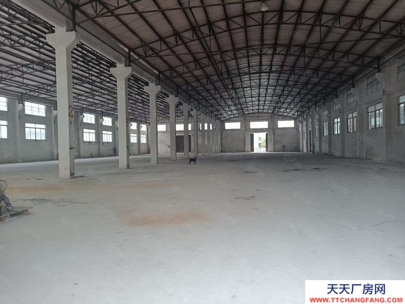 (出租) 中山西區(qū)街道沙朗市場附近新出單一層廠房3150平米出租帶紅本